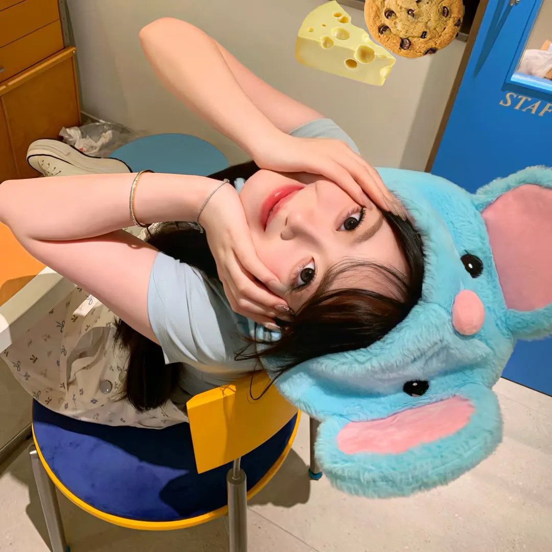 巧克力猫王